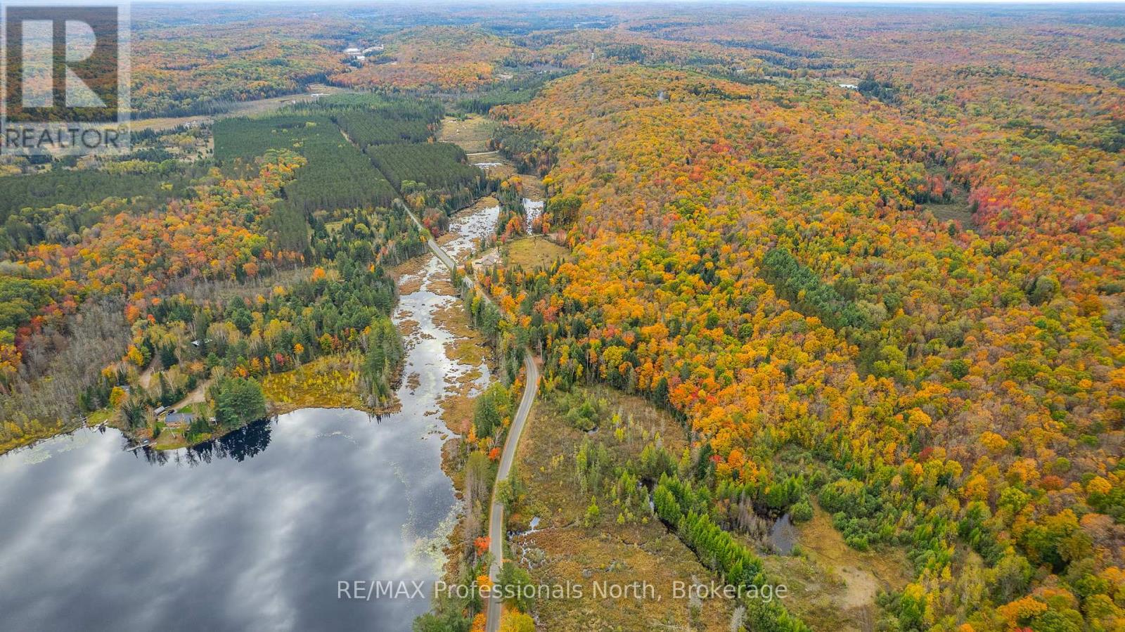 1600 Bobcaygeon Road, Minden Hills, Ontario  K0M 2K0 - Photo 29 - X12142713