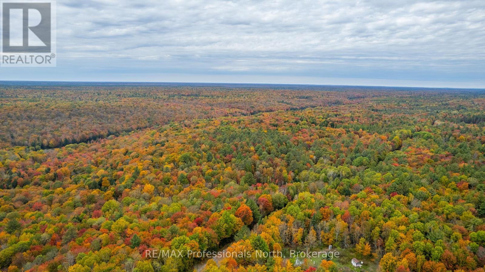 1600 Bobcaygeon Road, Minden Hills, Ontario  K0M 2K0 - Photo 33 - X12142713