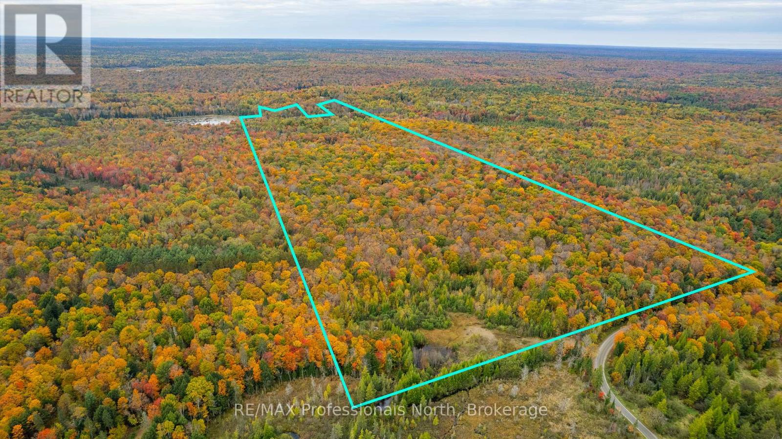1600 Bobcaygeon Road, Minden Hills, Ontario  K0M 2K0 - Photo 35 - X12142713