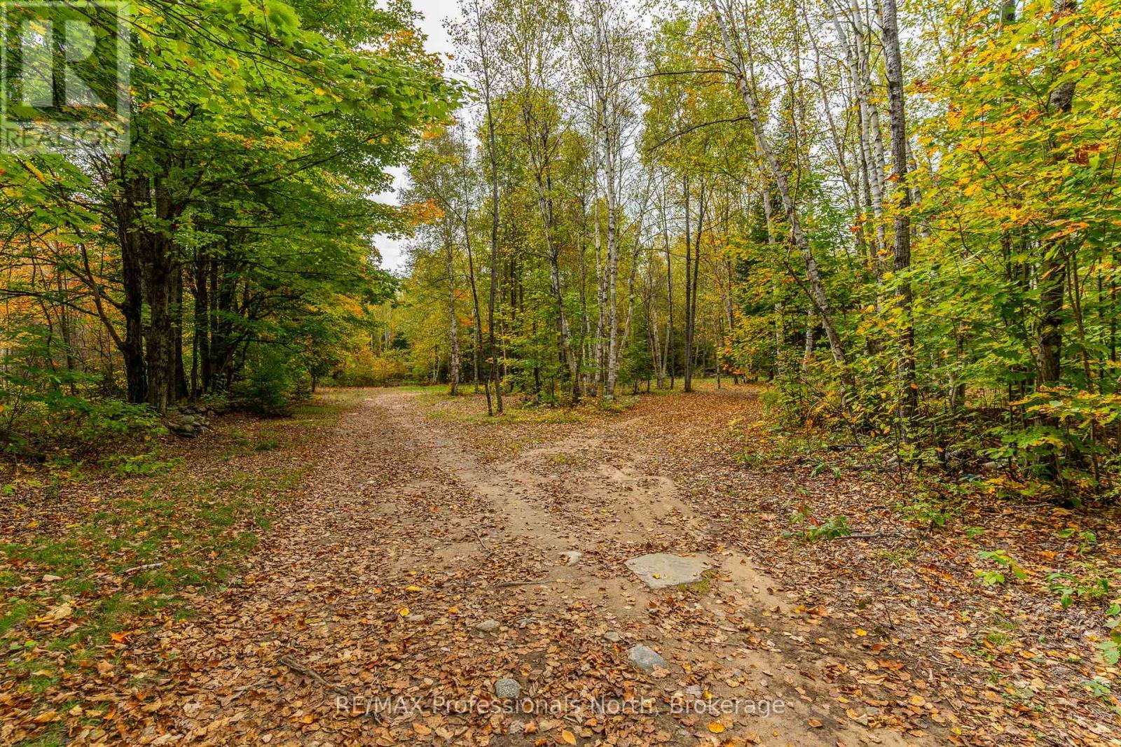 1600 Bobcaygeon Road, Minden Hills, Ontario  K0M 2K0 - Photo 5 - X12142713