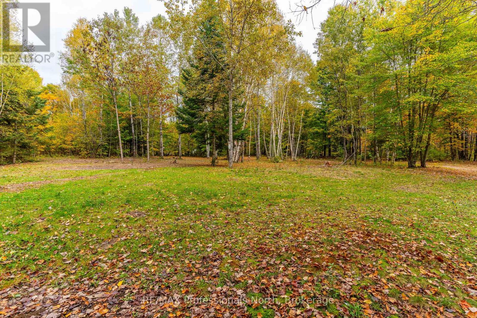 1600 Bobcaygeon Road, Minden Hills, Ontario  K0M 2K0 - Photo 6 - X12142713