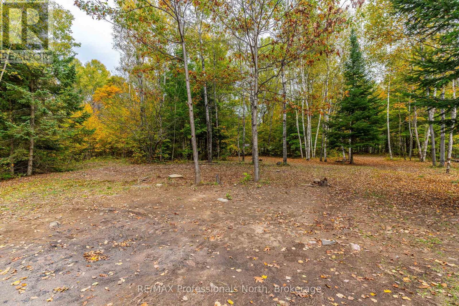 1600 Bobcaygeon Road, Minden Hills, Ontario  K0M 2K0 - Photo 7 - X12142713