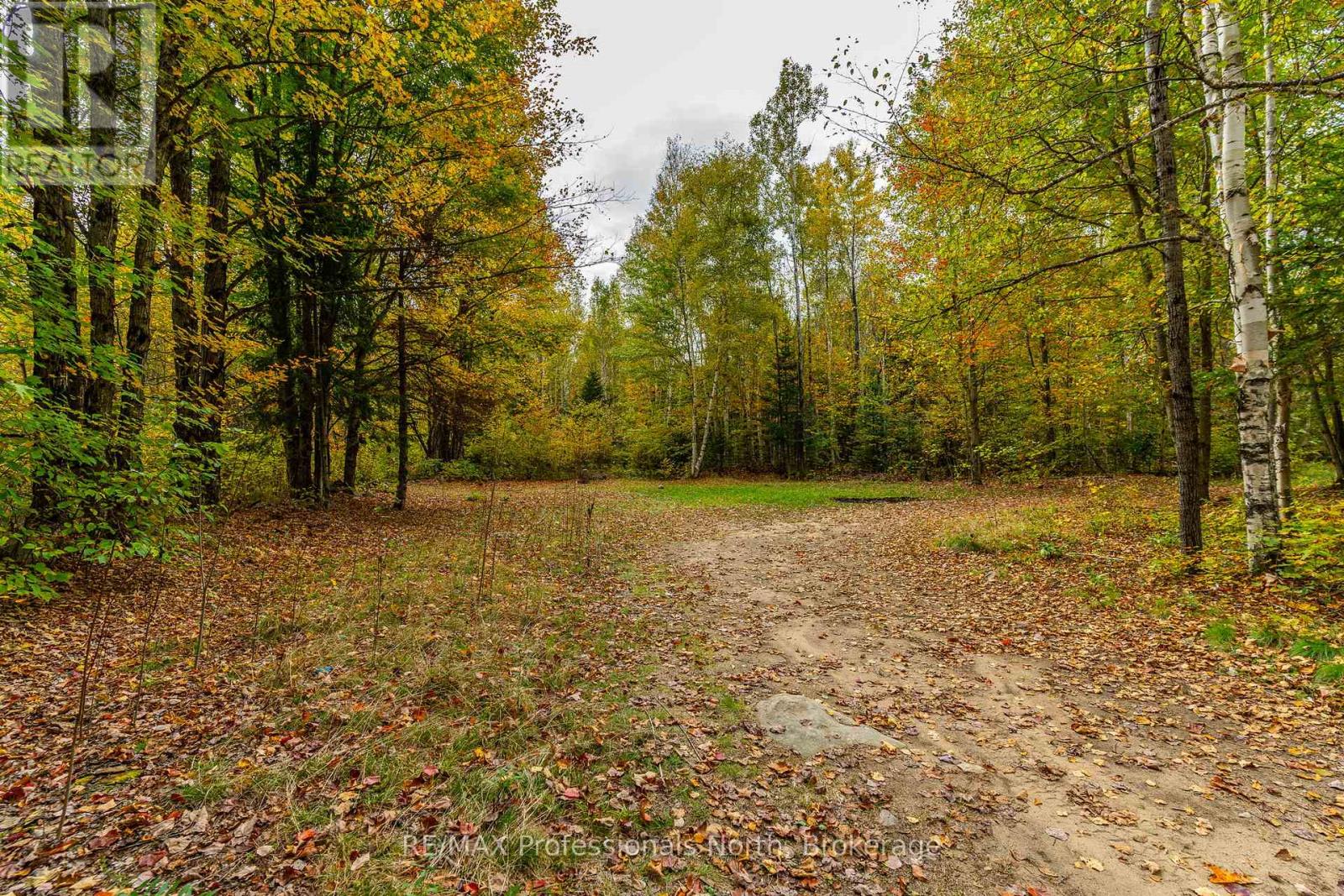 1600 Bobcaygeon Road, Minden Hills, Ontario  K0M 2K0 - Photo 9 - X12142713