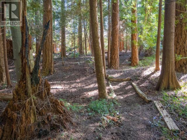 Property at 7108 KEMANO STREET image 4
