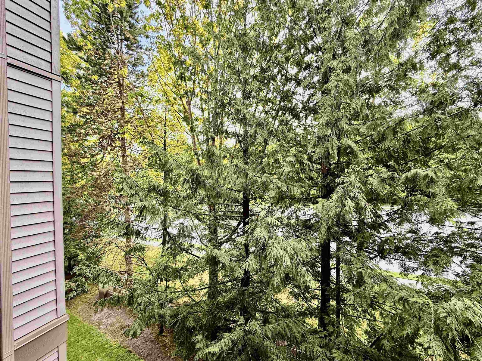 311 15220 Guildford Drive, Surrey, British Columbia  V3R 0Y6 - Photo 11 - R3000656