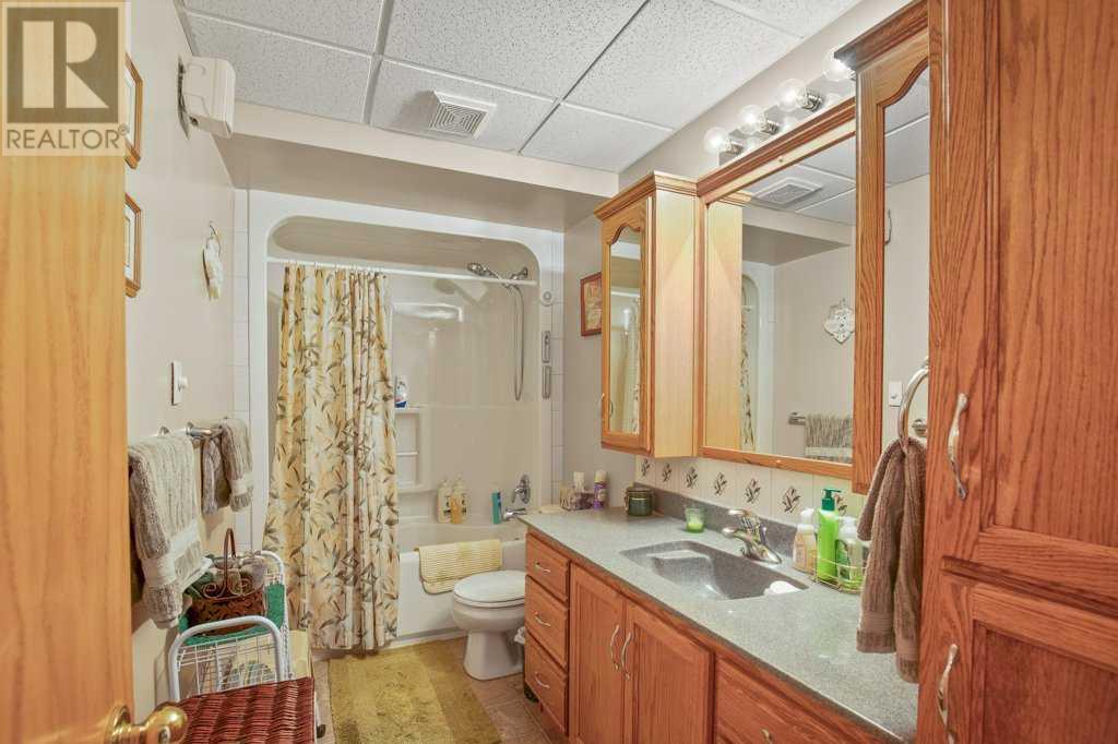 331067 Range Road 234, Trochu, Alberta  T0M 2C0 - Photo 47 - A2216285