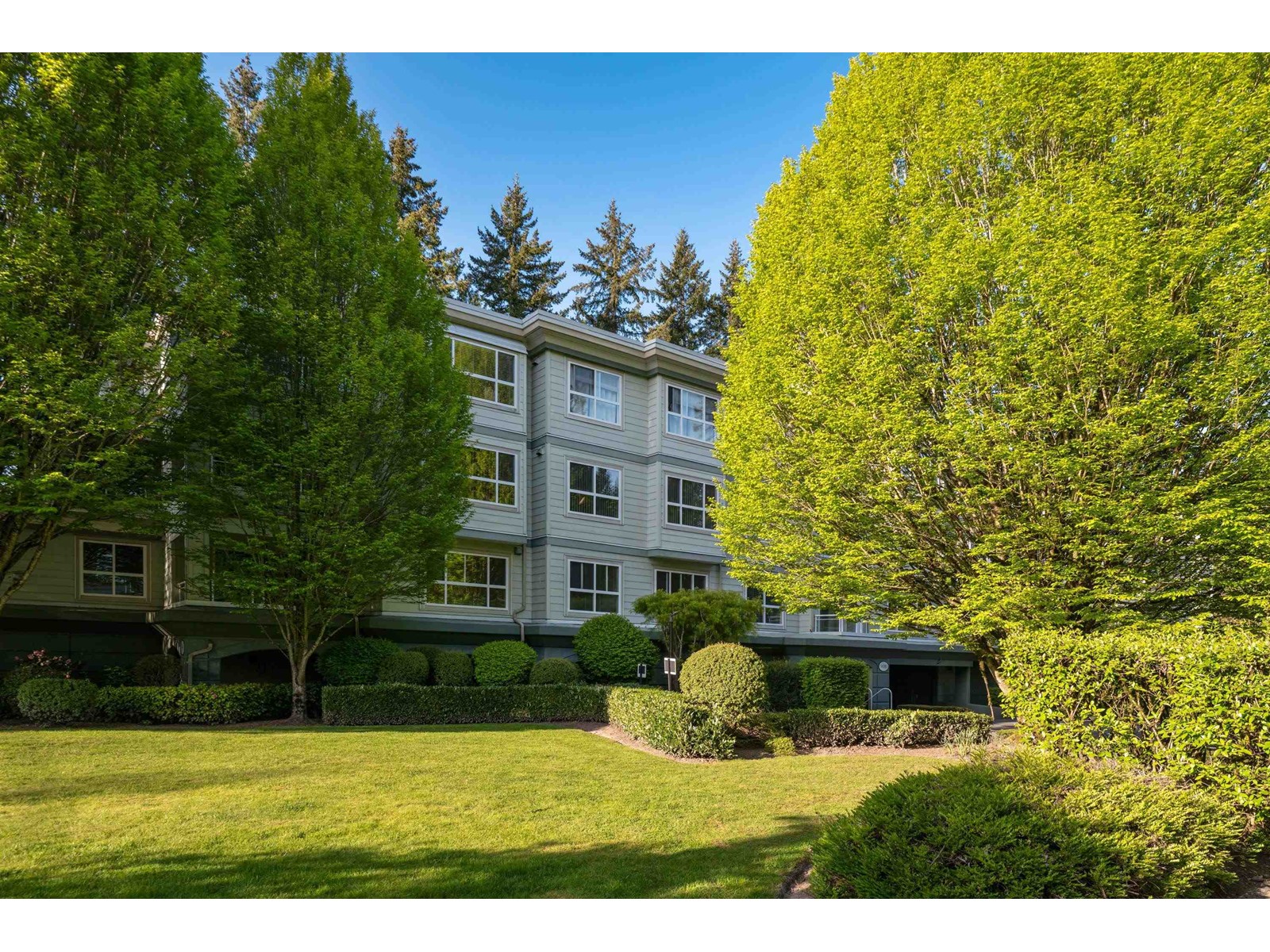 206 9018 208 Street, Langley, British Columbia  V1M 2Y8 - Photo 26 - R3001754
