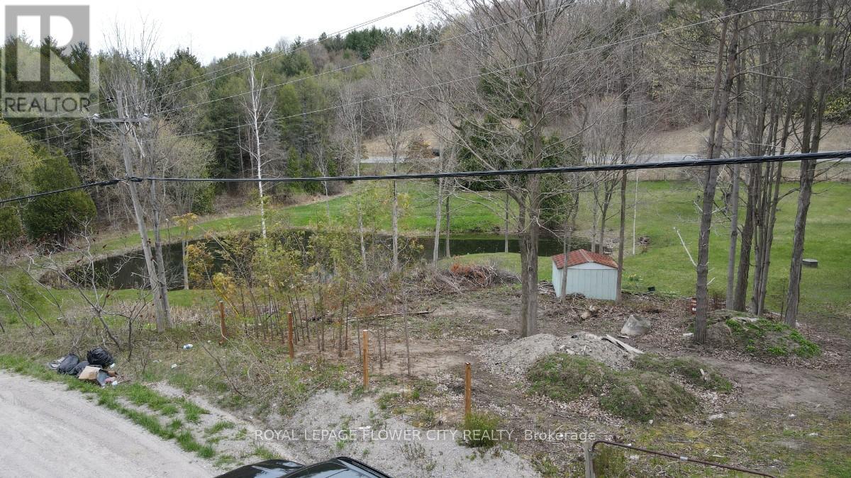 225 Glenville Rd, King, Ontario  L3Y 4V9 - Photo 3 - N12143021