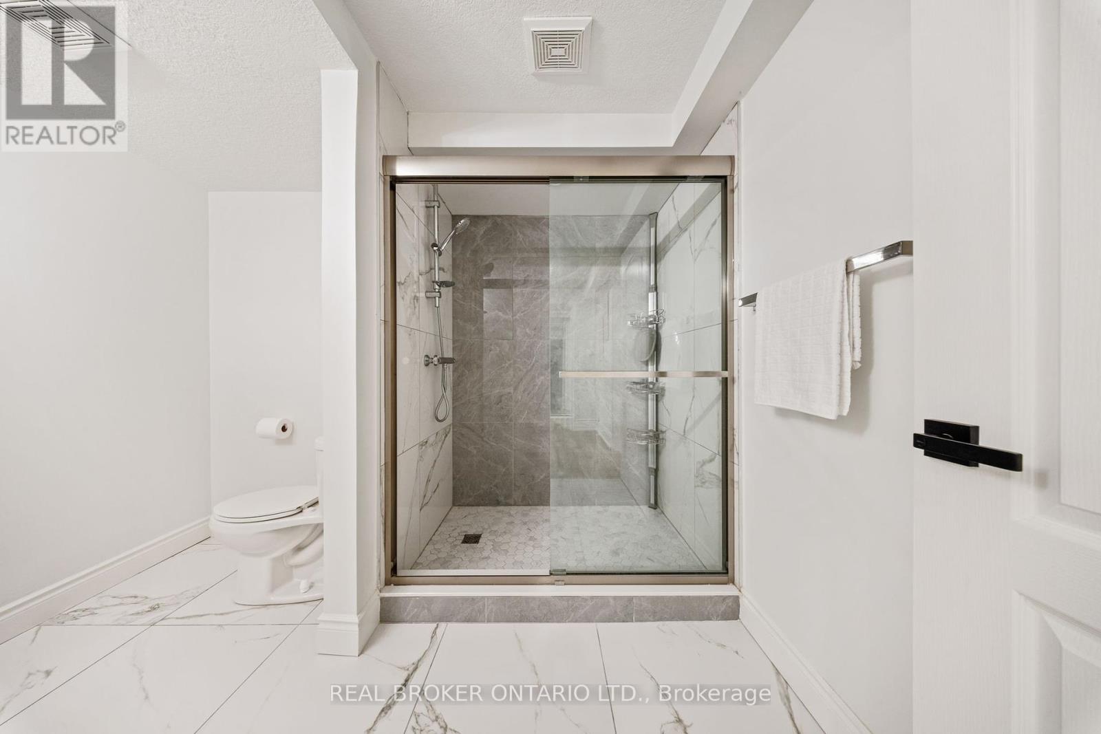 215 Black Maple Court, Kitchener, Ontario  N2P 2W8 - Photo 42 - X12143053
