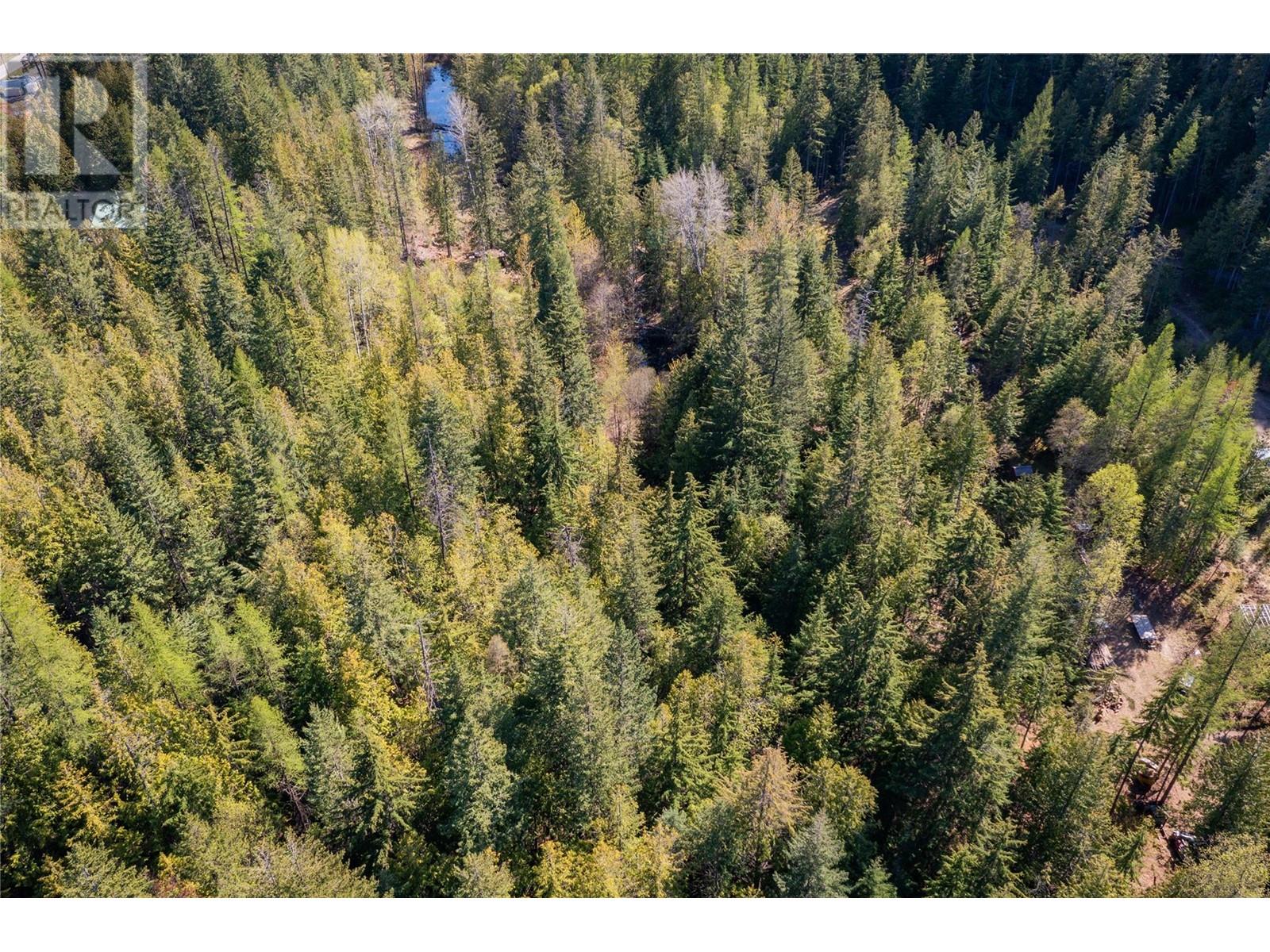 Lots 12-14 J Avenue, Kaslo, British Columbia  V0G 1M0 - Photo 12 - 10346779