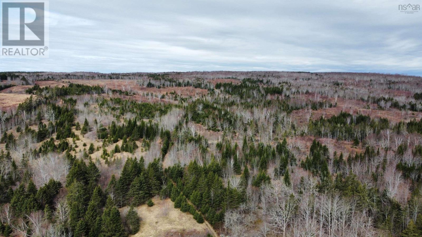 West Side Lochaber Road, West Lochaber, Nova Scotia  B2G 2L3 - Photo 8 - 202325192