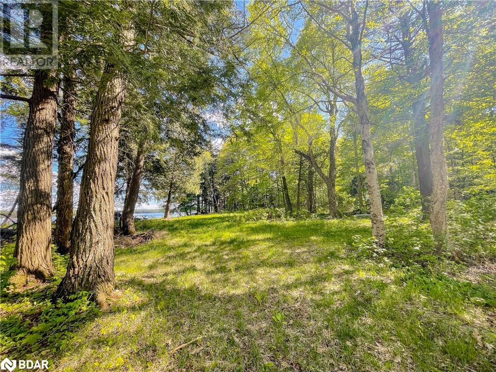 127 Blind Line, Armour, Ontario  P0A 1C0 - Photo 14 - 40727264