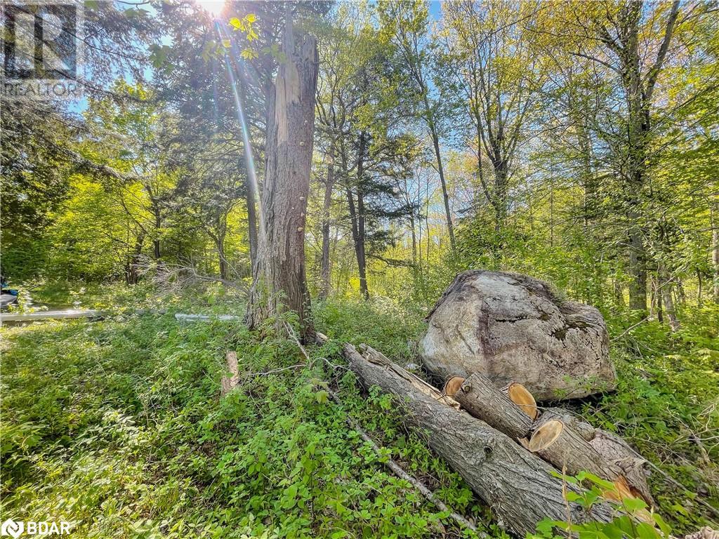 127 Blind Line, Armour, Ontario  P0A 1C0 - Photo 19 - 40727264