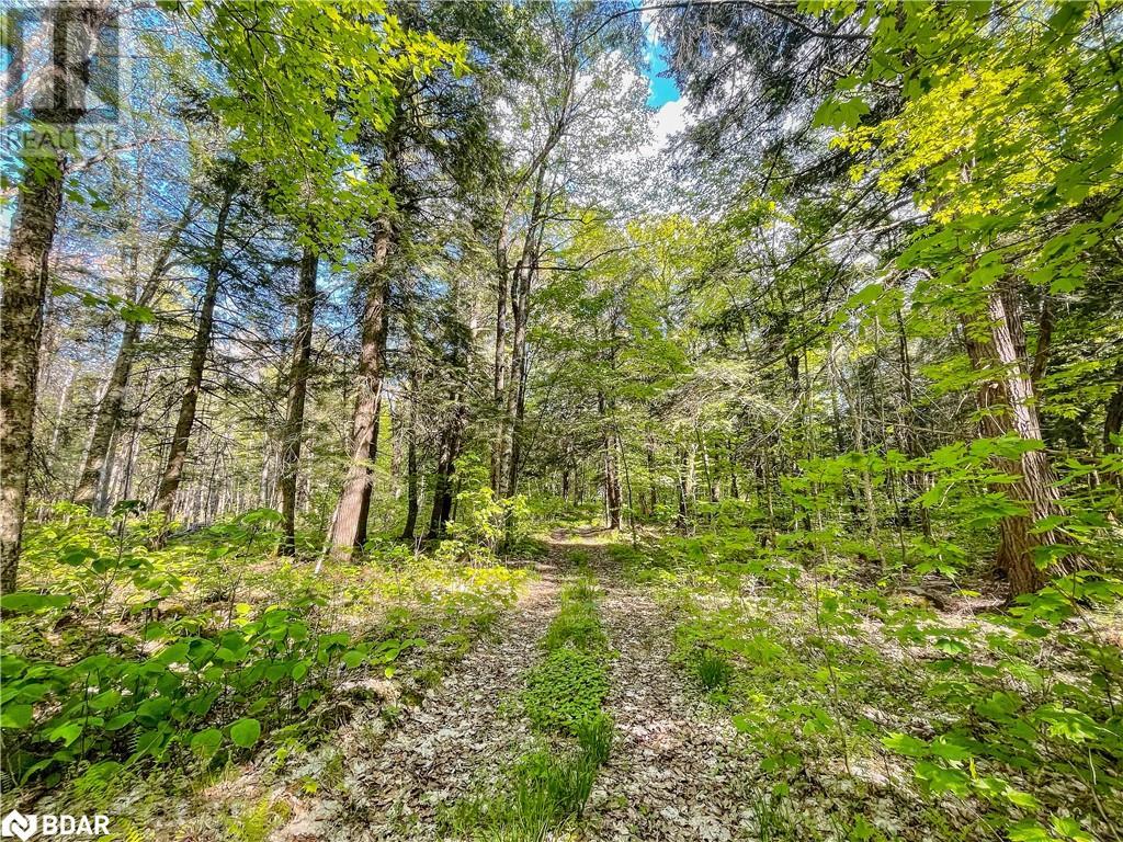 127 Blind Line, Armour, Ontario  P0A 1C0 - Photo 22 - 40727264