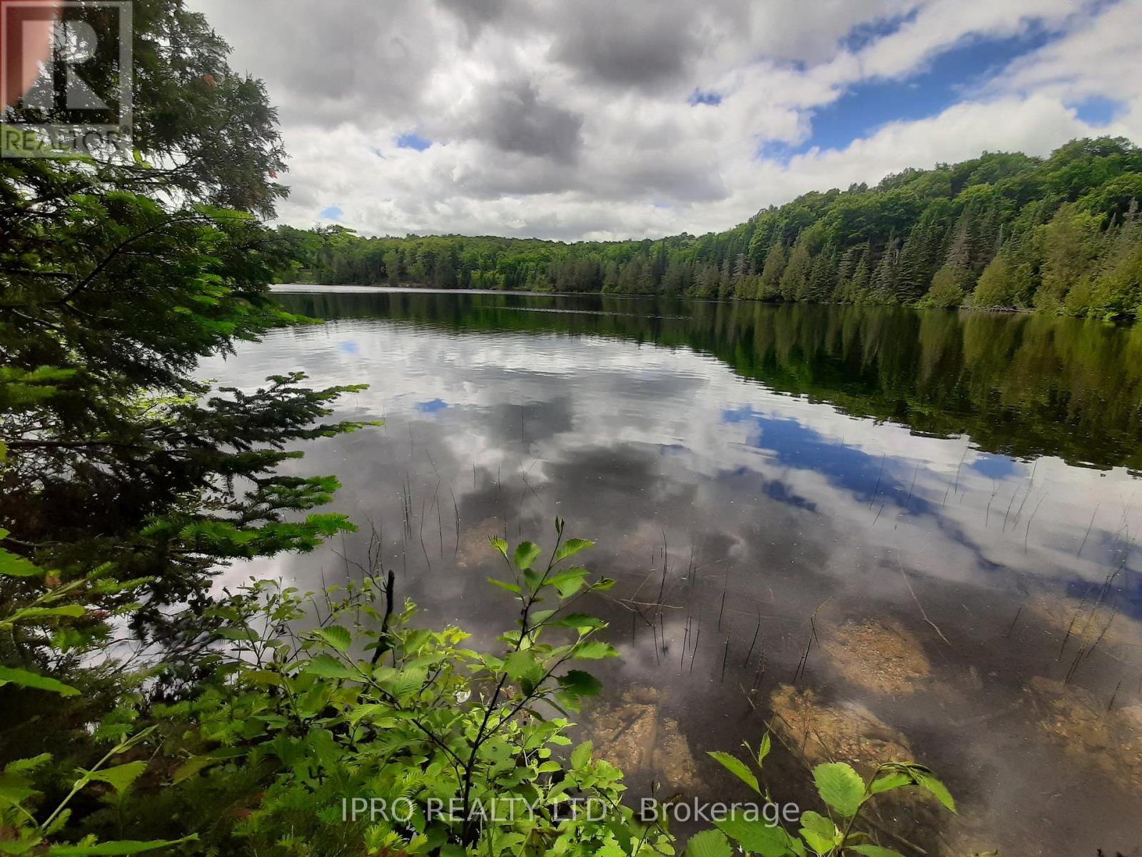 6447 OPEONGO ROAD, Bonnechere Valley, Ontario