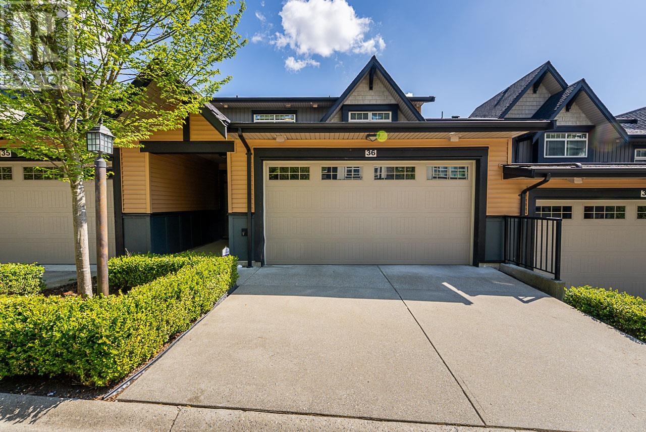 36 10525 240 Street, Maple Ridge, British Columbia  V2W 0J3 - Photo 3 - R3001853