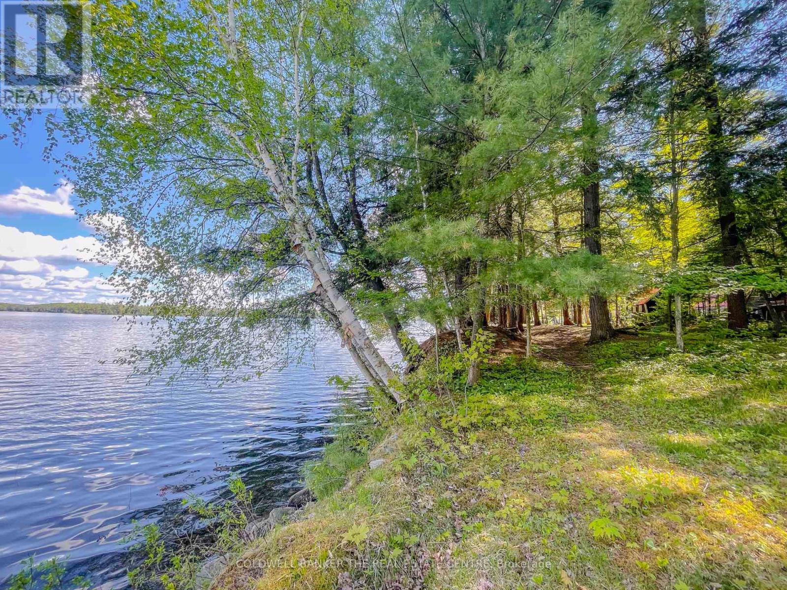 127 Blind Line, Armour, Ontario  P0A 1C0 - Photo 10 - X12143205