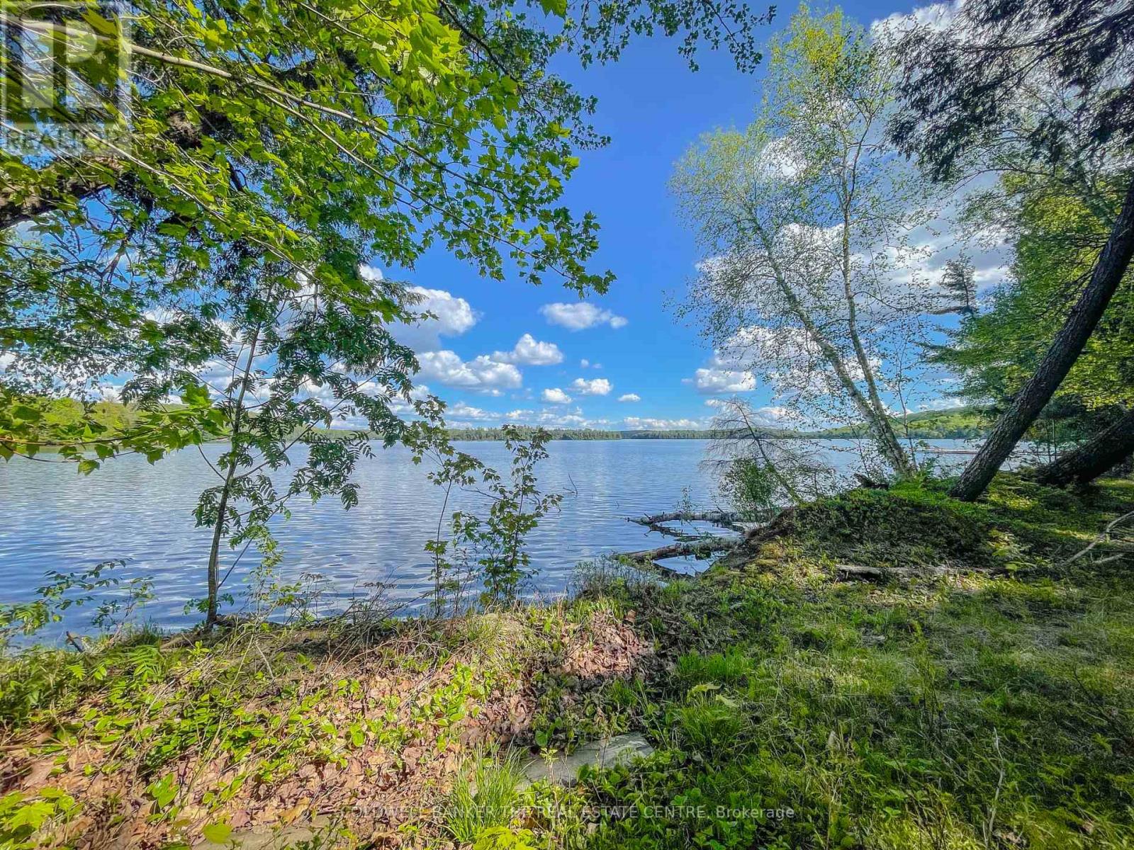 127 Blind Line, Armour, Ontario  P0A 1C0 - Photo 11 - X12143205