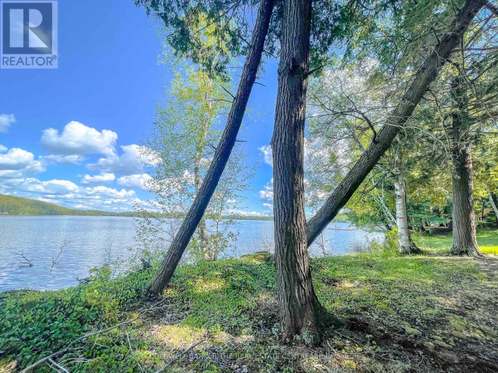 127 Blind Line, Armour, Ontario  P0A 1C0 - Photo 14 - X12143205