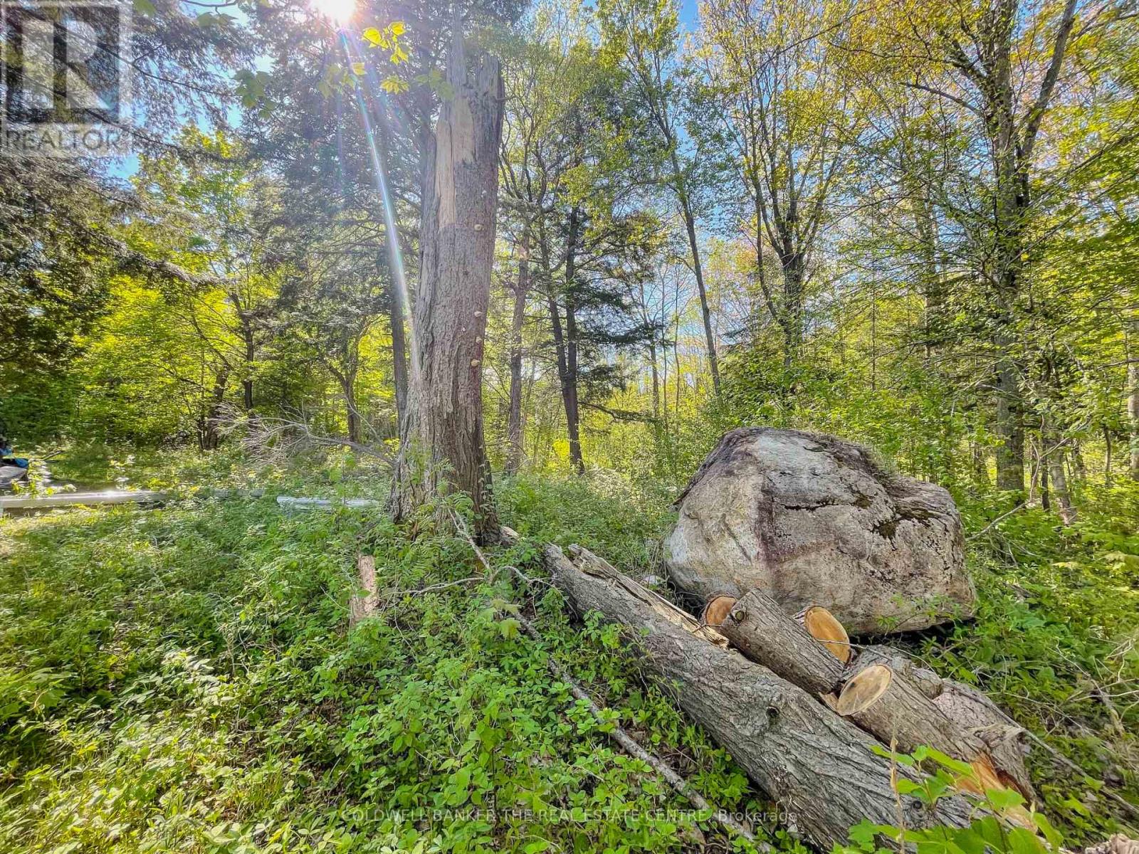127 Blind Line, Armour, Ontario  P0A 1C0 - Photo 17 - X12143205