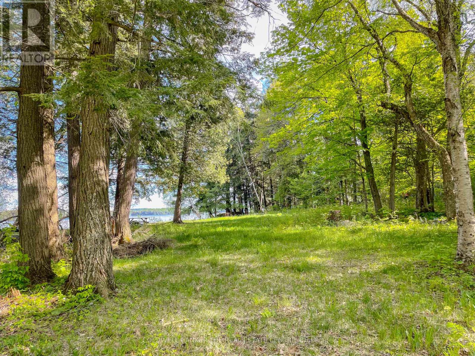 127 Blind Line, Armour, Ontario  P0A 1C0 - Photo 19 - X12143205