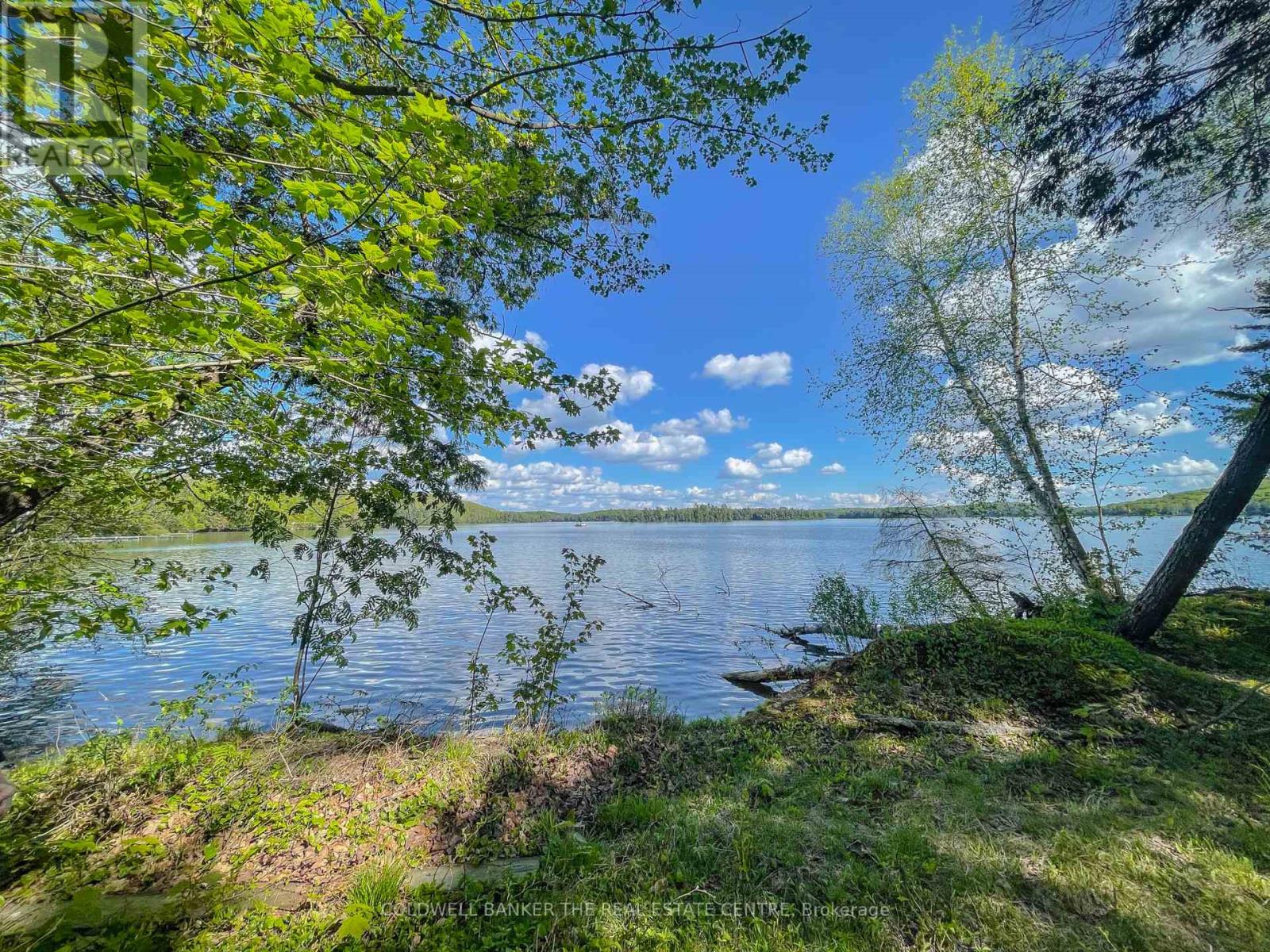 127 Blind Line, Armour, Ontario  P0A 1C0 - Photo 2 - X12143205