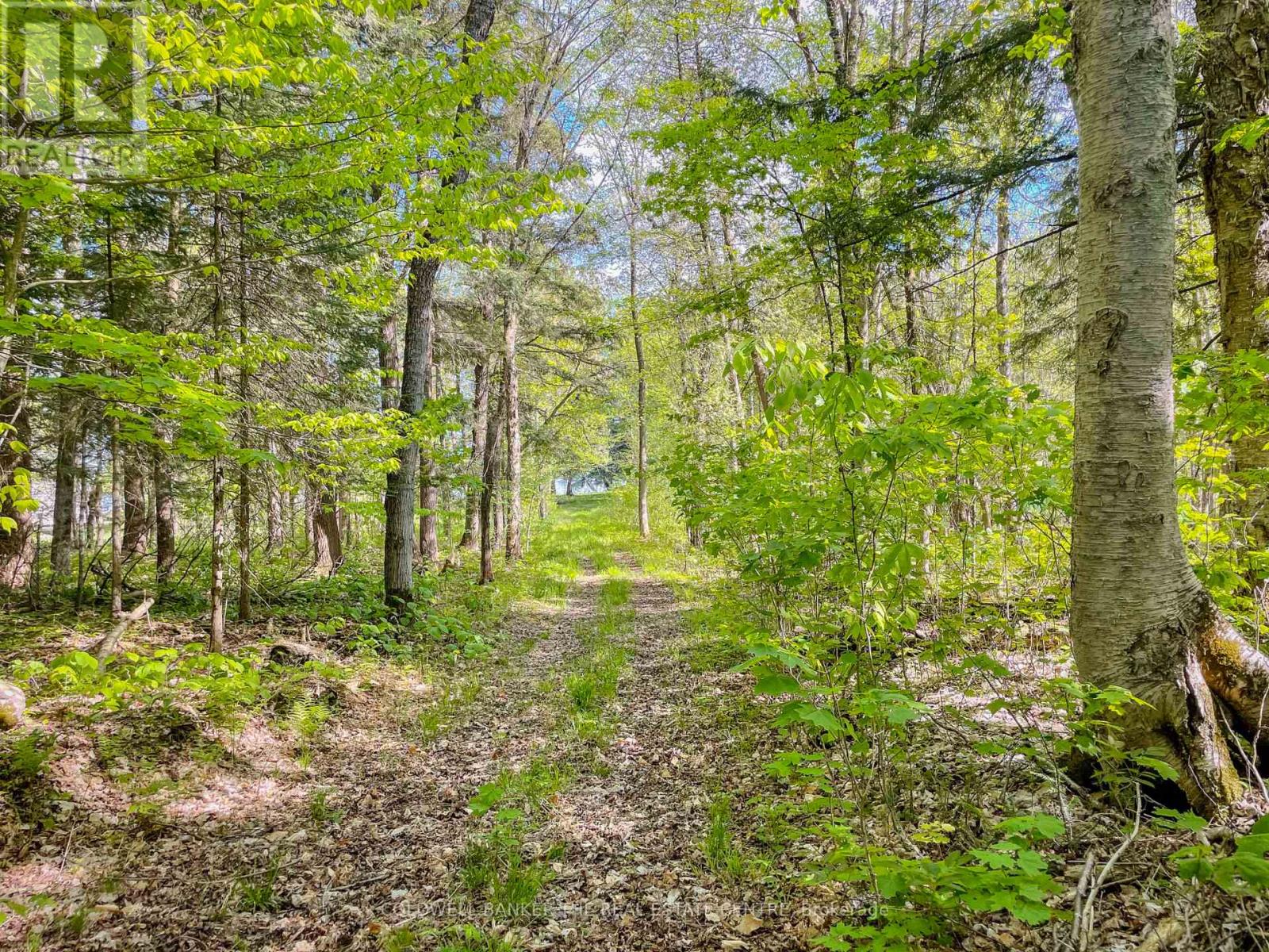 127 Blind Line, Armour, Ontario  P0A 1C0 - Photo 21 - X12143205