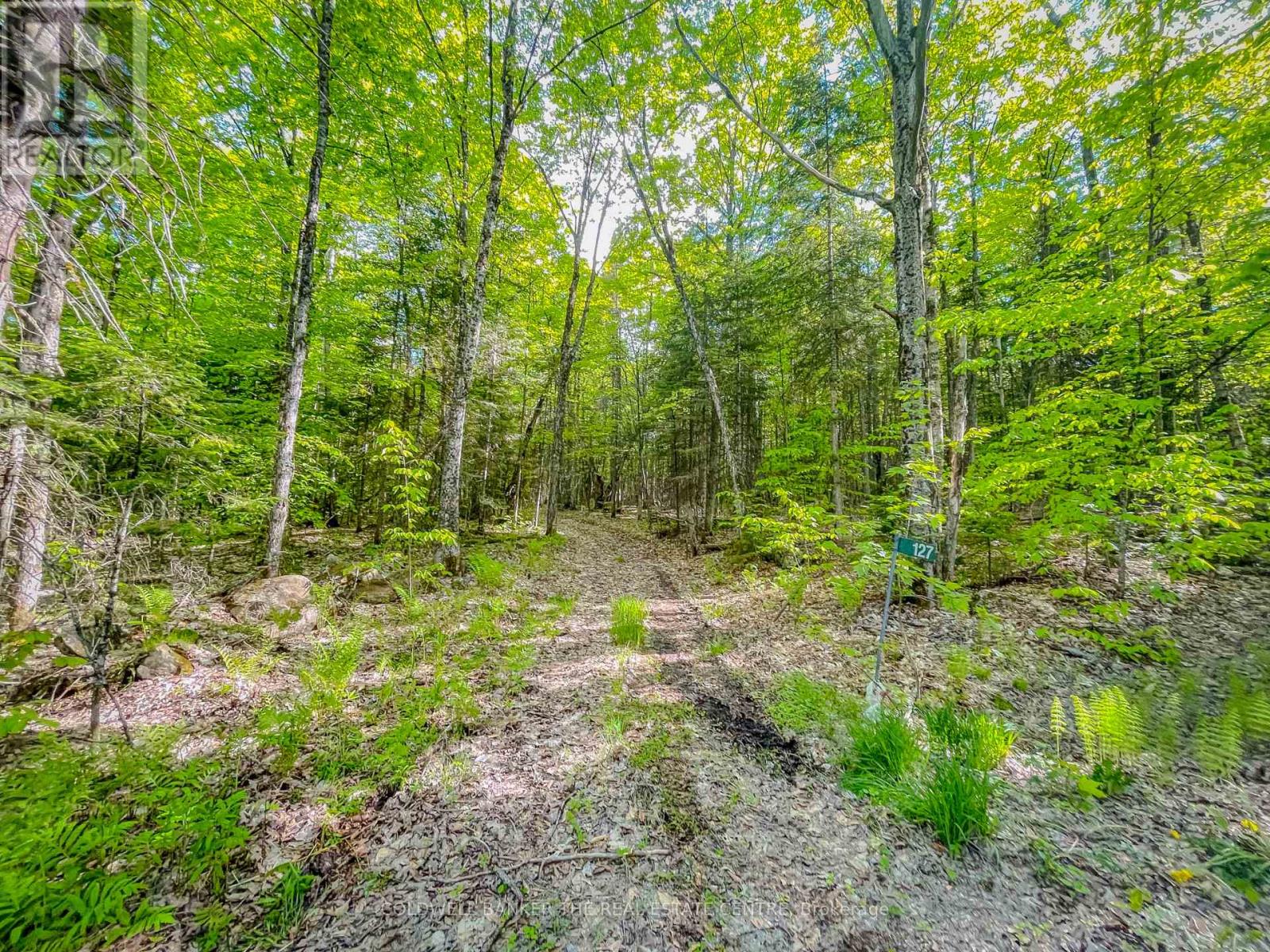 127 Blind Line, Armour, Ontario  P0A 1C0 - Photo 22 - X12143205