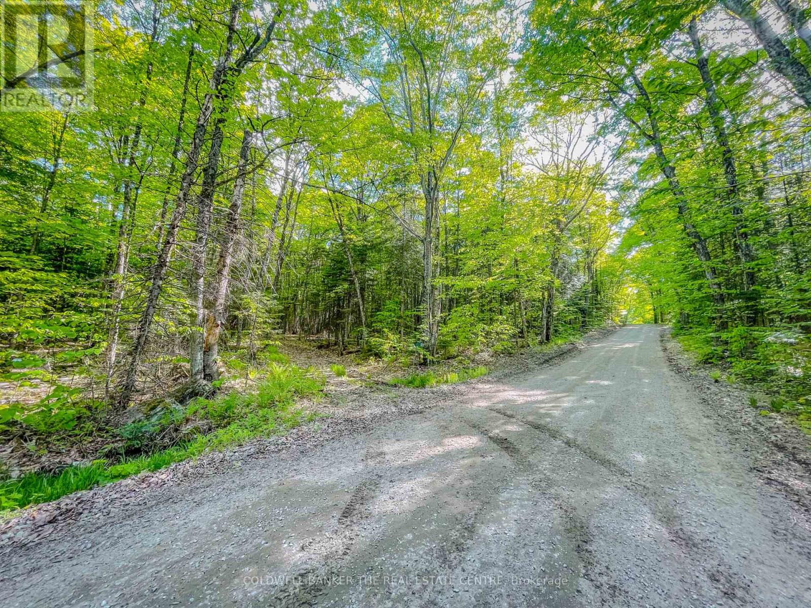 127 Blind Line, Armour, Ontario  P0A 1C0 - Photo 23 - X12143205