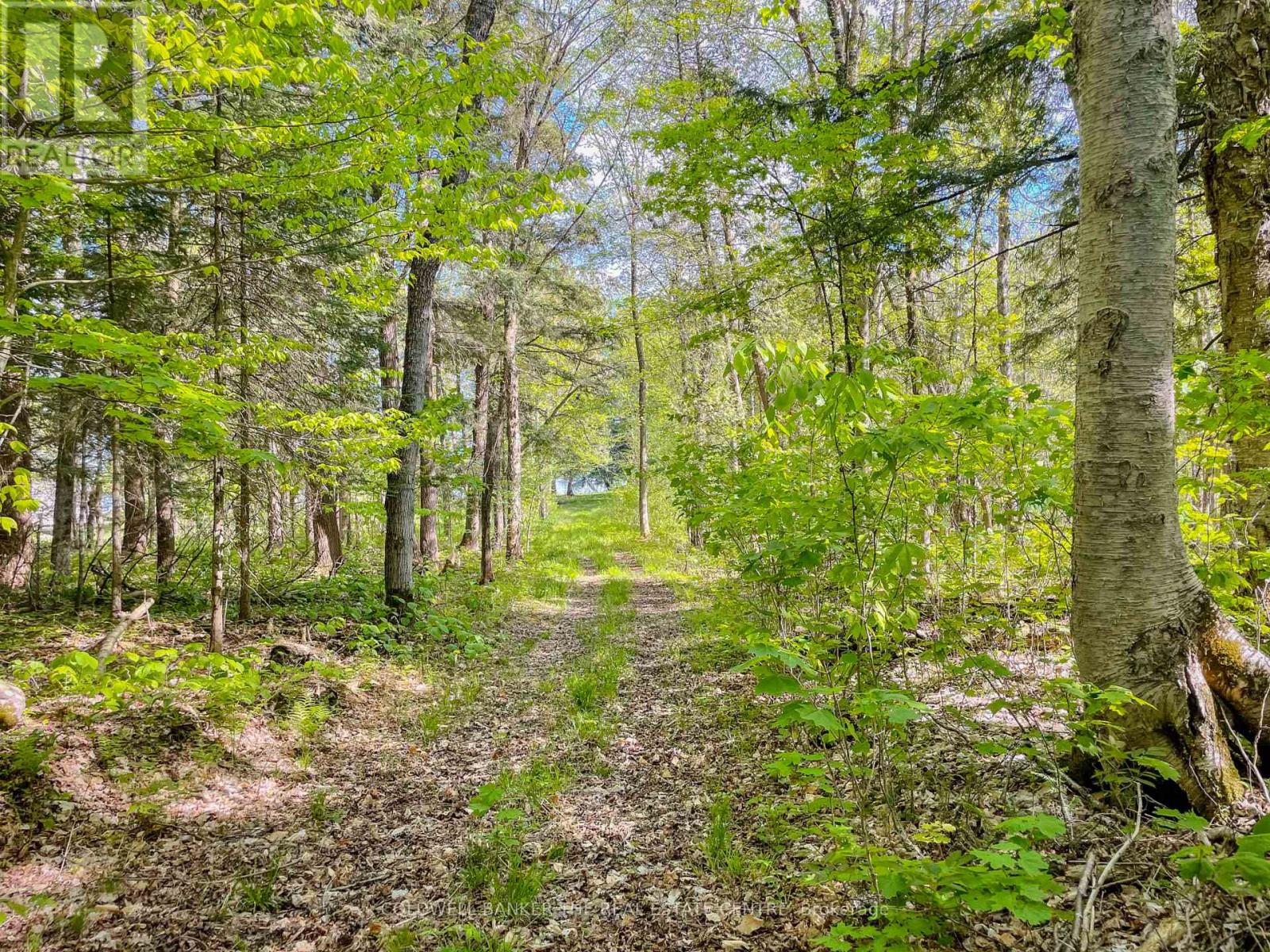 127 Blind Line, Armour, Ontario  P0A 1C0 - Photo 37 - X12143205