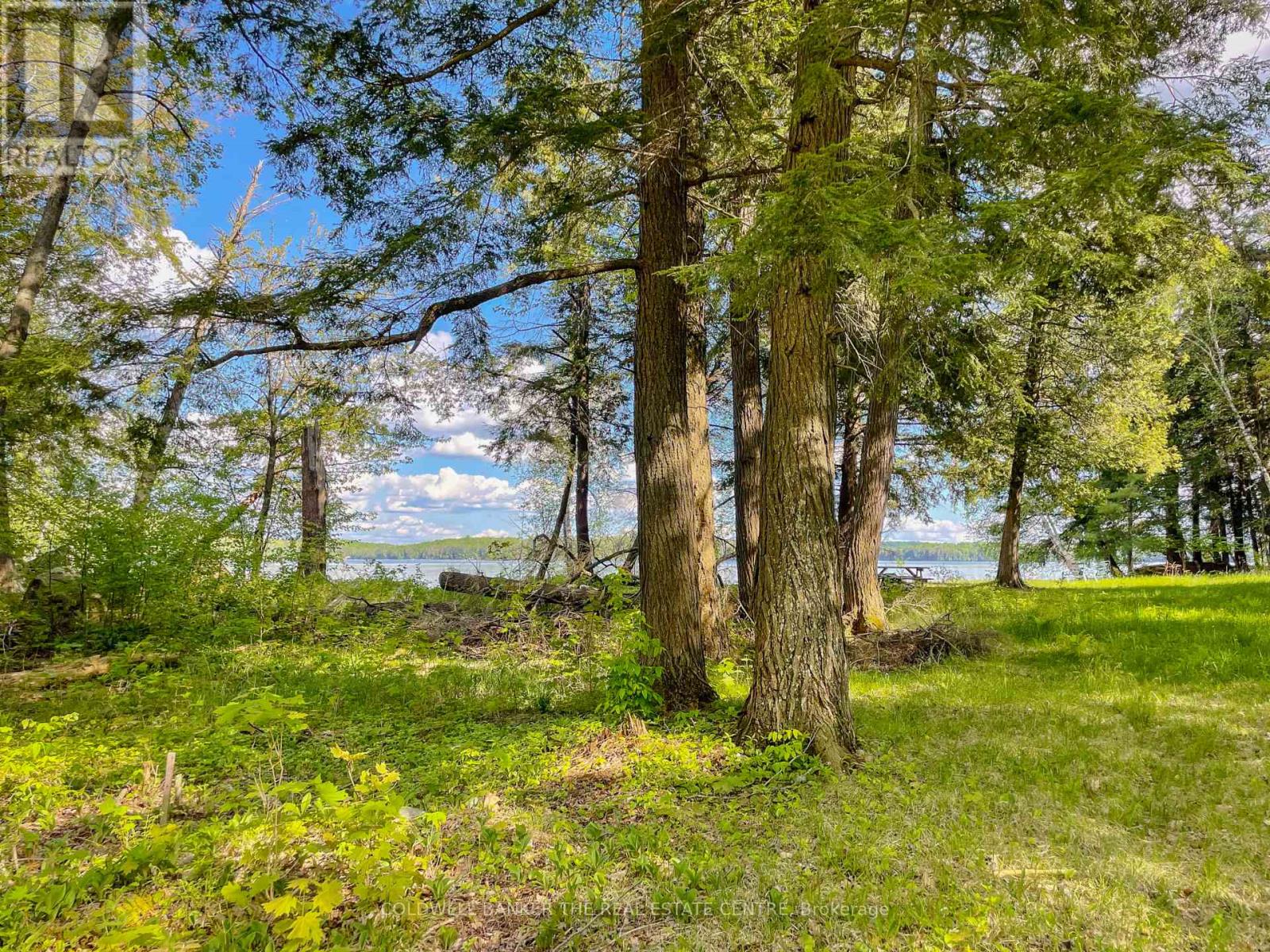 127 Blind Line, Armour, Ontario  P0A 1C0 - Photo 39 - X12143205