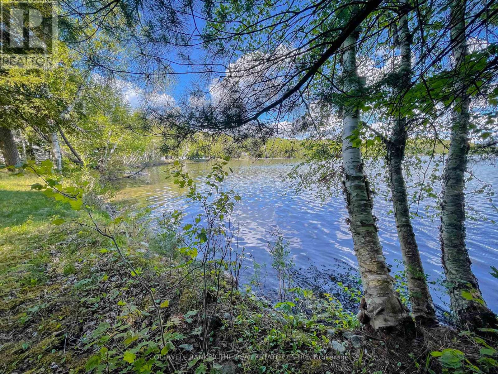 127 Blind Line, Armour, Ontario  P0A 1C0 - Photo 5 - X12143205