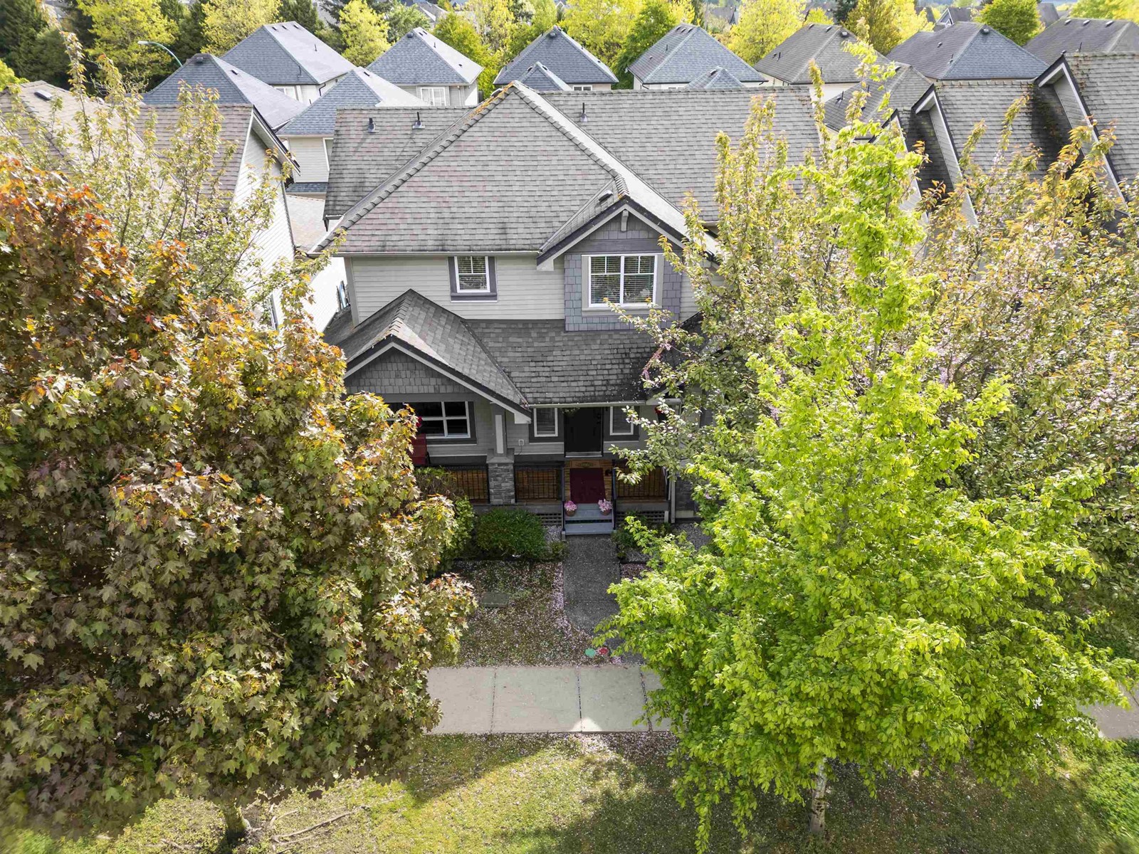 7032 195a Street, Surrey, British Columbia  V4N 5Z2 - Photo 38 - R3001810