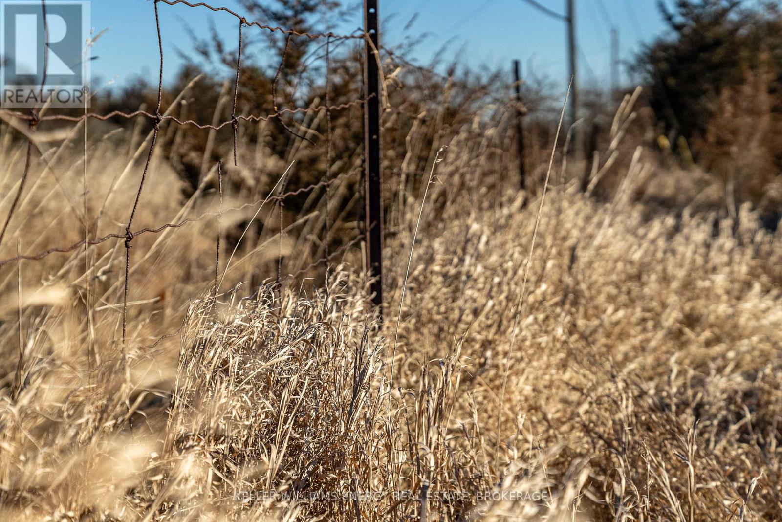 0 County Road 7, Prince Edward County (North Marysburg Ward), Ontario  K0K 2T0 - Photo 5 - X12143310