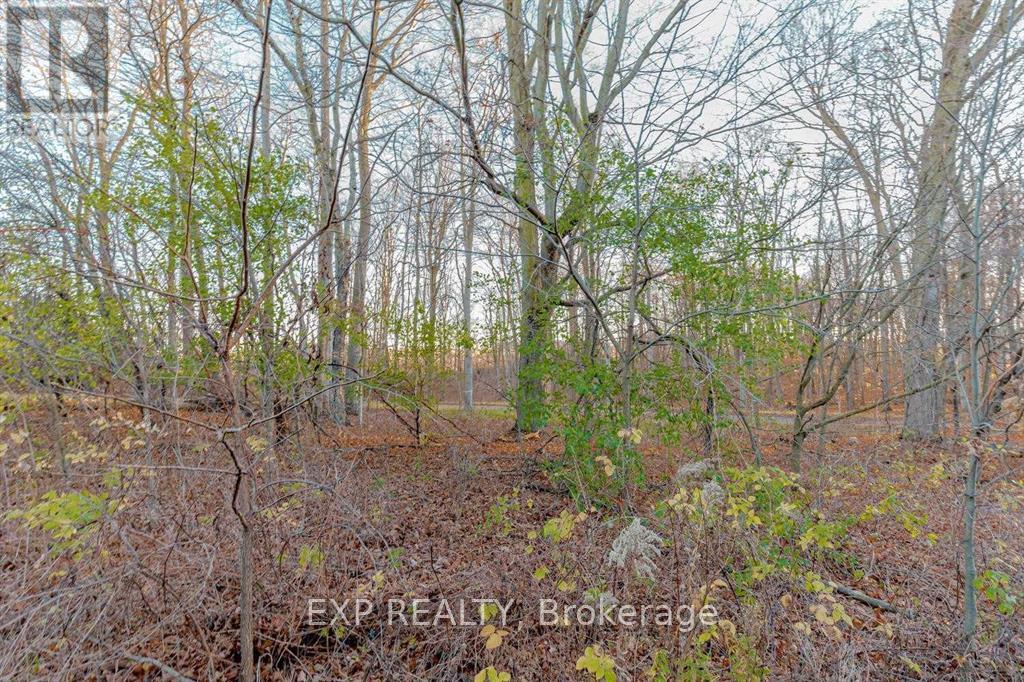 Property at 77 WOODEDGE CIRCLE image 4