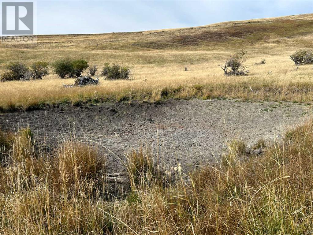 Ne 19-8-2 W5m Approx 5 Km West Of Hwy 22 & Township Rd 84, Lundbreck, Alberta  T0K 1W0 - Photo 3 - A2189271