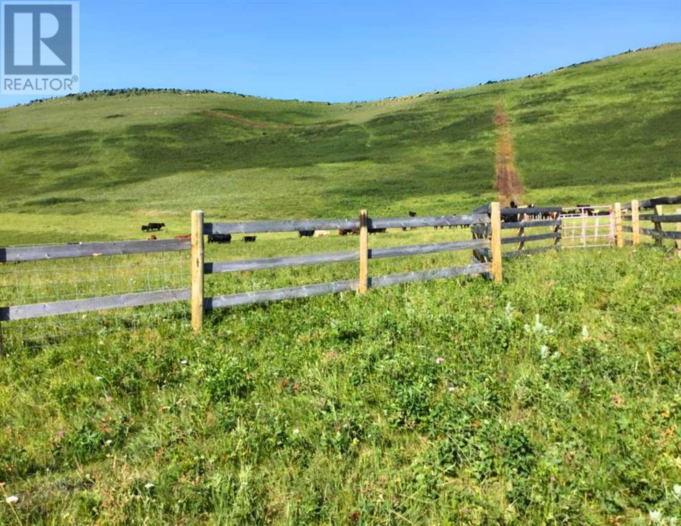 Ne 19-8-2 W5m Approx 5 Km West Of Hwy 22 & Township Rd 84, Lundbreck, Alberta  T0K 1W0 - Photo 2 - A2189271