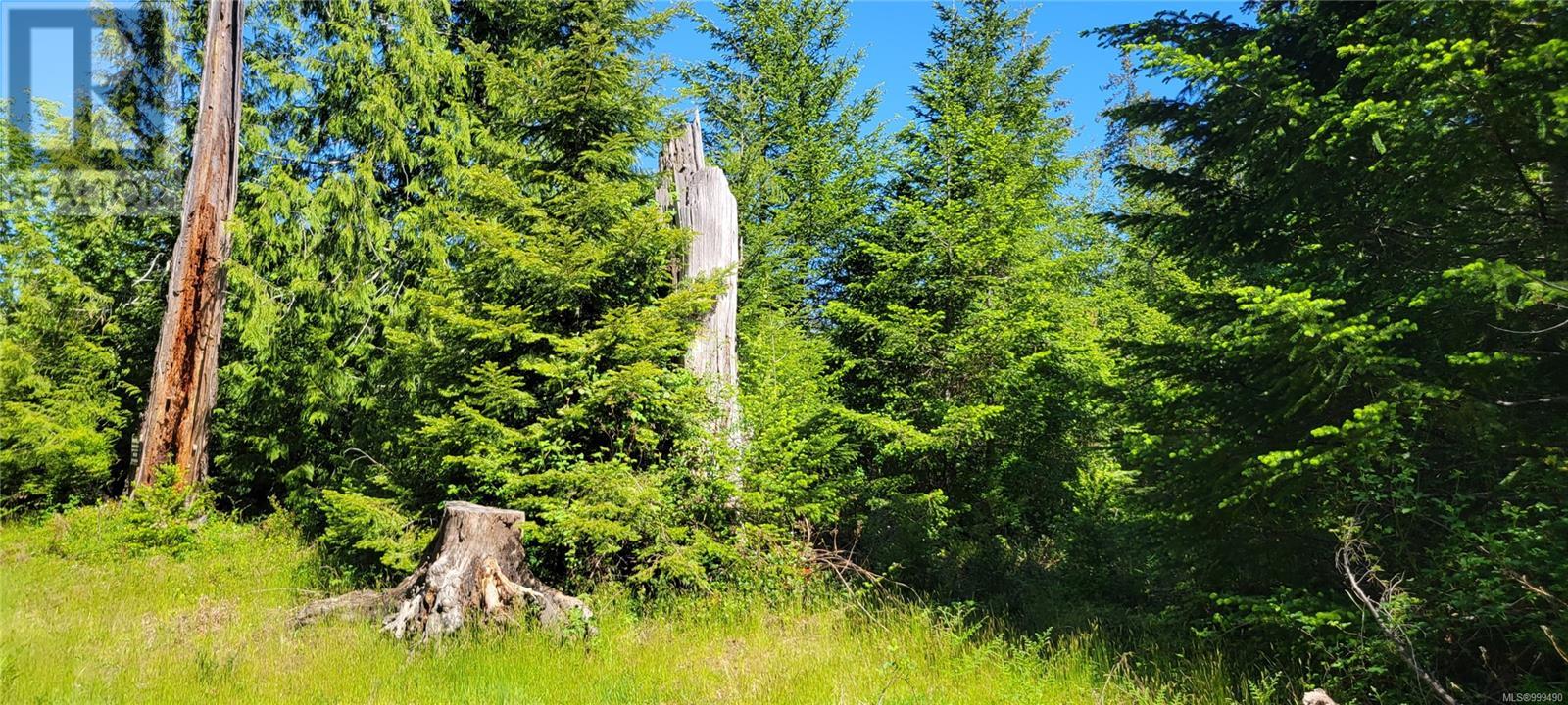 Sl 5 4275 South Island Hwy, Campbell River, British Columbia  V9H 1B7 - Photo 6 - 999490
