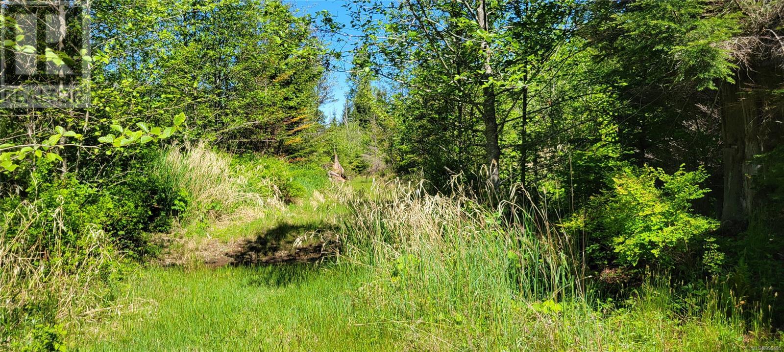 Sl 3 4275 South Island Hwy, Campbell River, British Columbia  V9H 1B7 - Photo 10 - 999495