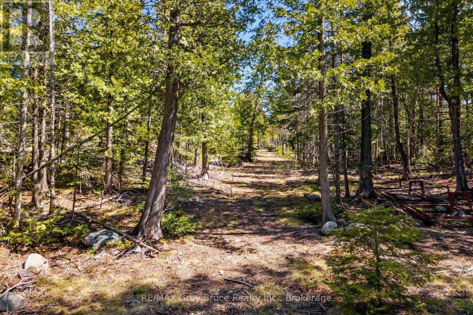 6227 Highway 6 Highway, Northern Bruce Peninsula, Ontario  N0H 2R0 - Photo 38 - X12143545