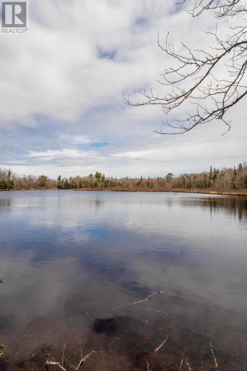 Lot 2021 Butler Road, Murphy Lake, Nova Scotia  B4N 3V8 - Photo 6 - 202510405