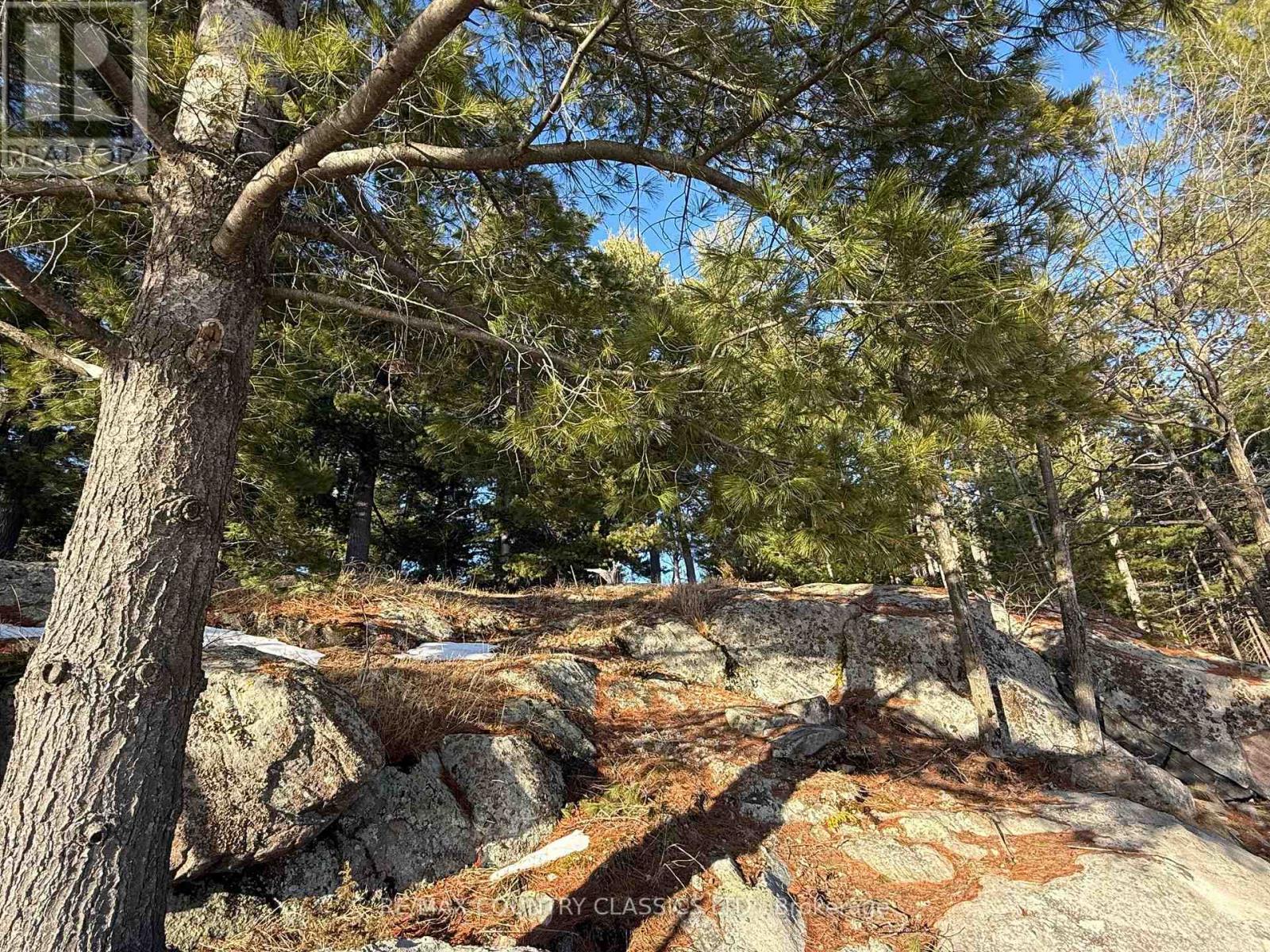 272 Mask Island Drive S, Madawaska Valley, Ontario  K0J 1B0 - Photo 11 - X12088497