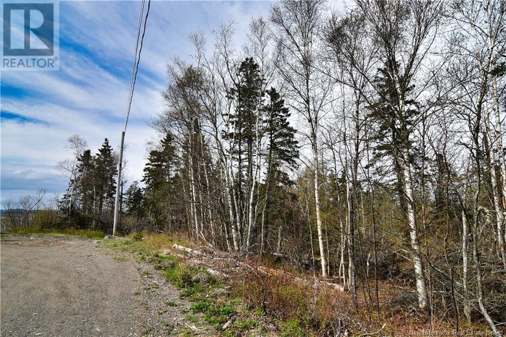 86-39 & 86-40 Mitchell Court, Welshpool, New Brunswick  E5E 1H6 - Photo 20 - NB118277