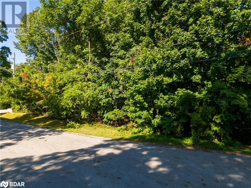 Lot 30 & Part Lot 29 Purvis Street, Innisfil, Ontario  L9S 3K4 - Photo 15 - 40727972