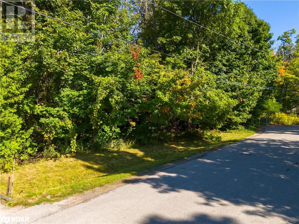 Lot 30 & Part Lot 29 Purvis Street, Innisfil, Ontario  L9S 3K4 - Photo 16 - 40727972