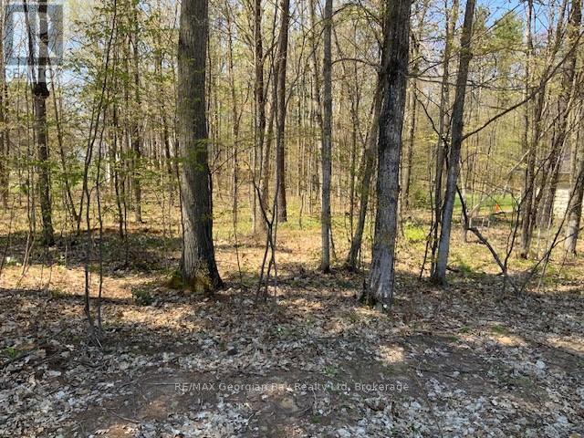 Lot 558 Forest Circle, Tiny, Ontario  L9M 0H7 - Photo 7 - S12005255