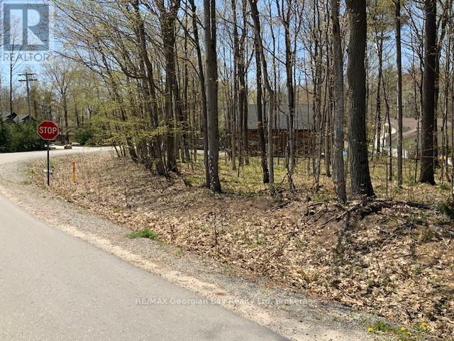 Lot 558 Forest Circle, Tiny, Ontario  L9M 0H7 - Photo 8 - S12005255