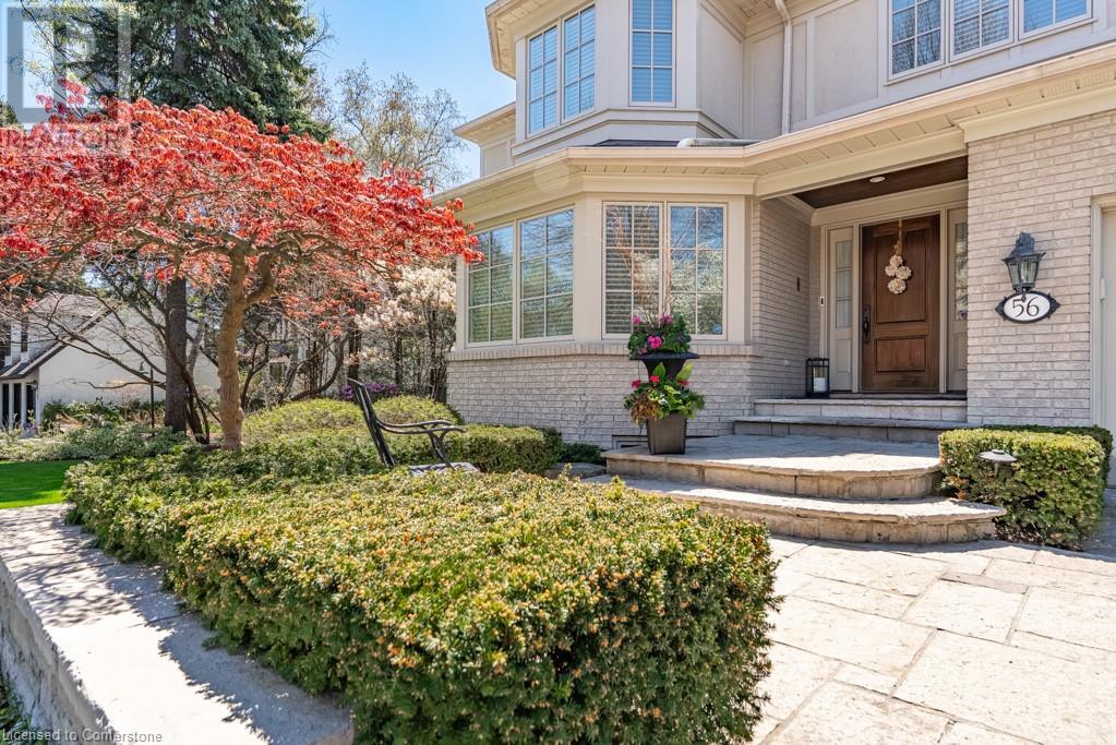 Property at 56 CAMEO Street image 2
