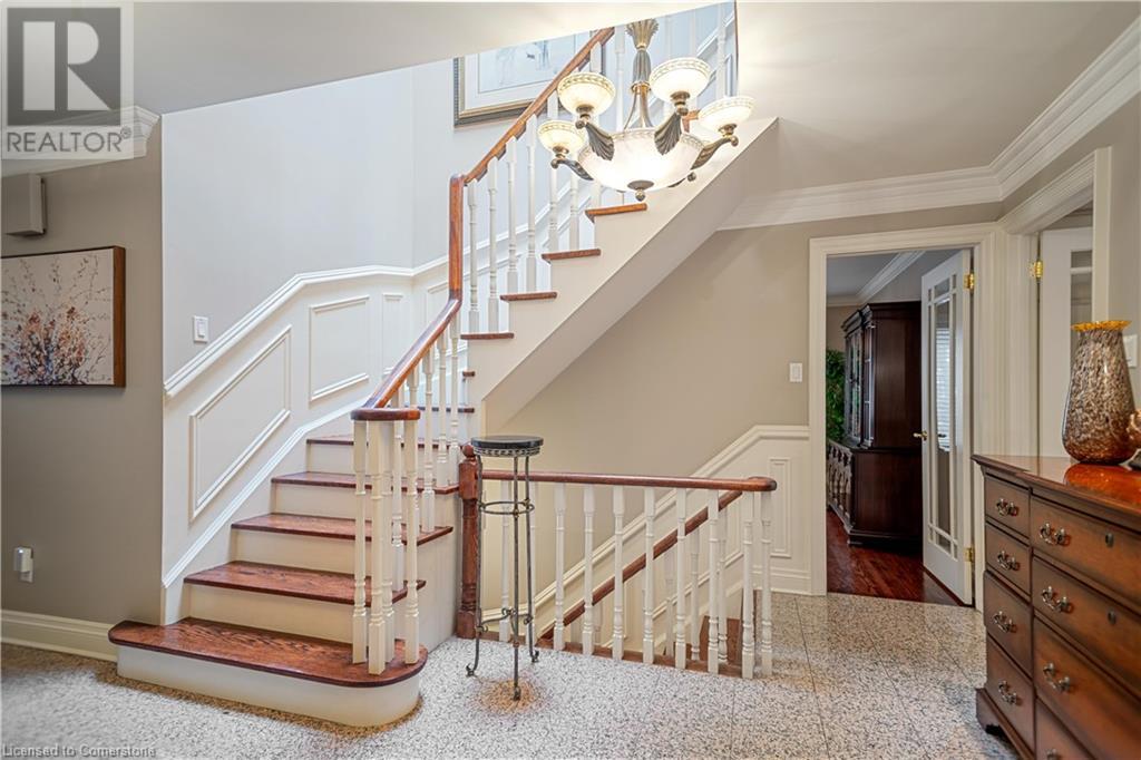 Property at 56 CAMEO Street image 4
