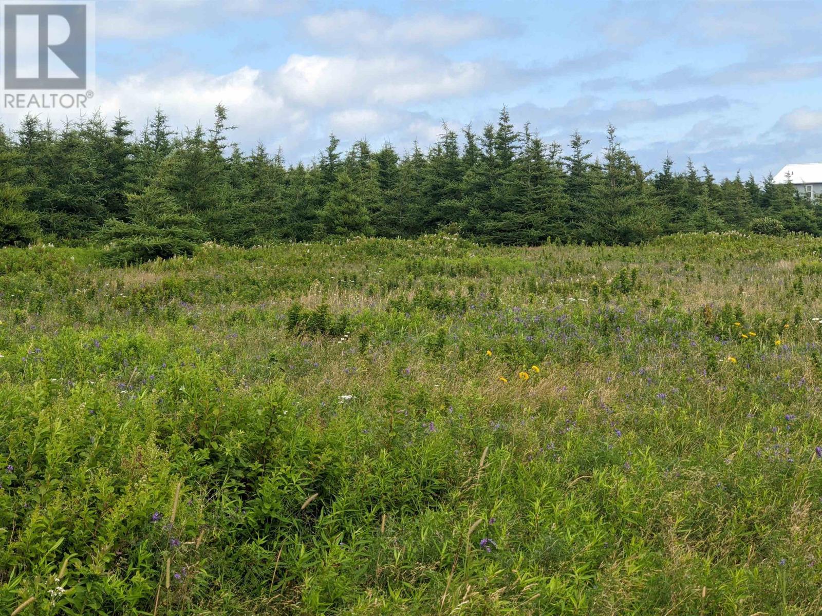 Lot 16 Osprey Lane, Malpeque, Prince Edward Island  C0B 1M0 - Photo 22 - 202510783